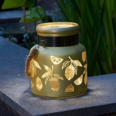Smart Garden Lemon Lantern - Yellow