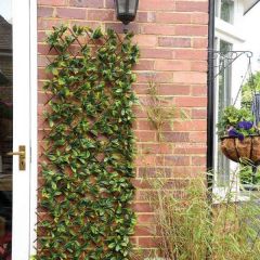 Lemon Leaf Willow Trellis 180 x 90 cm - Smart Garden