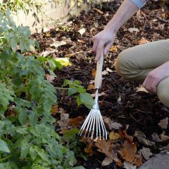 Burgon &amp; Ball Stainless Mid Handled Shrub Rake