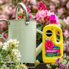 Miracle-Gro® Azalea, Camellia & Rhododendron Concentrated Liquid Plant Food 800ml