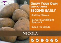 Potato Nicola 2Kg - Taylor's Bulbs
