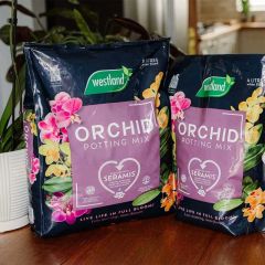 Westland Orchid Potting Mix (Enriched With Seramis) 8L