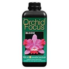 Orchid Focus Bloom - 1 Litre