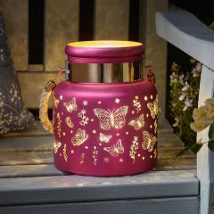 Smart Garden Papillon Lantern - Pink