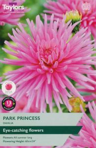 Taylor's Bulbs Dahlia Park Princess