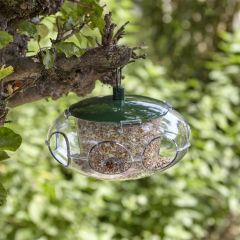 Peckish Small Bird Seed Feeder