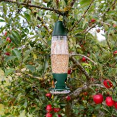 Peckish Seed Feeder 3 Port 