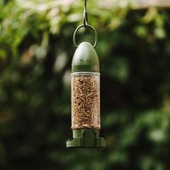 Peckish Mealworm Ready to Use Feeder