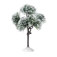 Lemax Mountain Pine, Medium