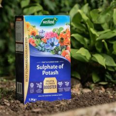 Westland Sulphate Of Potash 1.5kg