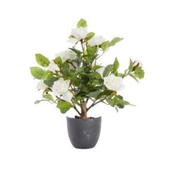 Smart Garden Regent's Roses 40cm - White