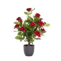 Smart Garden Regent's Roses 60cm - Ruby Red