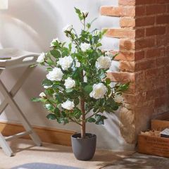 Smart garden Regent's Roses 80cm - White