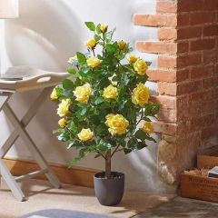 Smart Garden Regent's Roses 80cm - Sunshine Yellow