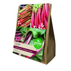 Taylor's Bulbs Rhubarb Collection