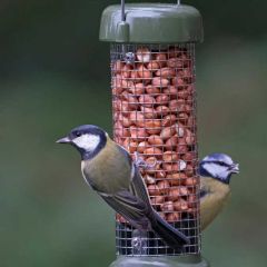 Jacobi Jayne Ring-Pull™ Click Peanut Feeder Mesh, Small, 180mm, Green