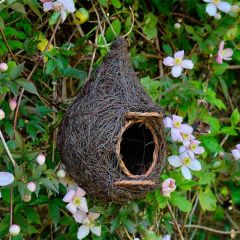 Wildlife World Giant Roost Pocket Robin Nester