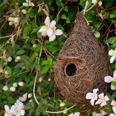 Wildlife World Giant Roost Pocket Small Bird Nester