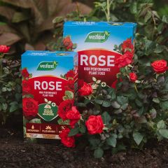 Westland Rose Food 1kg