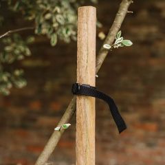 Westland Grow-It  Round Tree Stake 150cm 59" FSC-100%-SA-COC-010265
