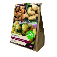 Taylor's Bulbs Salad Potato Collection