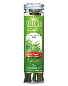 Scentsicle Winter White - Premier