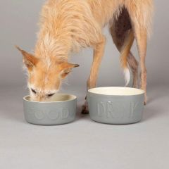 Scruffs Classic Water Bowl - 20cm Grey