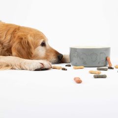 Scruffs Classic Food Bowl - 15cm 15 X 15 X 5.5cm Grey