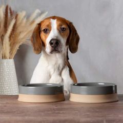 Scruffs Scandi Non Tip Bowl - 16cm Grey