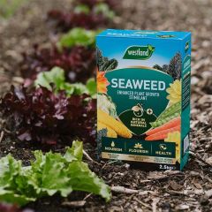 Westland Seaweed Enhanced Plant Food 2.5Kg