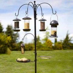 Tom Chambers Select Bird Station