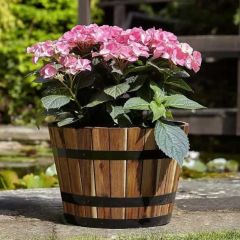 Tom Chambers Applewood Barrel Planter Small