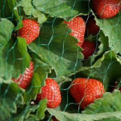 Garden Netting - Green - 10m x 4m - Smart Garden 