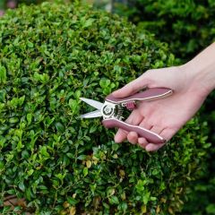 Kent and Stowe Garden Life Snips
