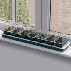 Garland Super 7 Electric Windowsill Propagator