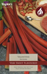Rhubarb Valentine - Taylor's Bulbs