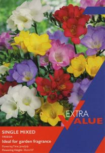 Taylor's Bulbs Single Freesias Mixed