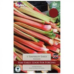 Taylor's Bulbs Rhubarb Timperley Early