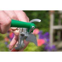 Tool Sharp - Creative Products