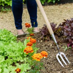 Kent and Stowe Stainless Steel Long Handled Fork