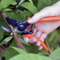 Burgon & Ball - Micro Secateur - RHS Endorsed Terracotta handle