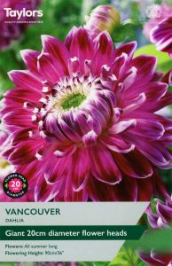 Taylor's Bulbs Dahlia Vancouver