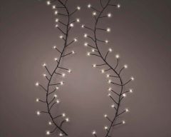 Micro LED Compact Lights 960 Warm White - Kaemingk