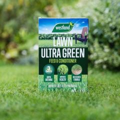 Westland Ultra Green Feed & Conditioner 80m2 Box