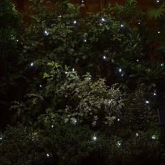 50 White LED String Lights