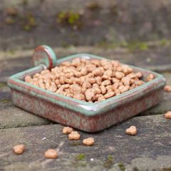 Wildlife World Hedgehog Snack Bowl (with drainage hole)