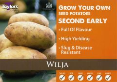 Wilja 2kg - Taylor's Bulbs