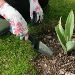 Wilkinson Sword Ultralight Stainless Steel Trowel
