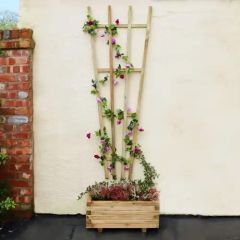 Zest Outdoor Living Fan Trellis 0.63m x 1.83m