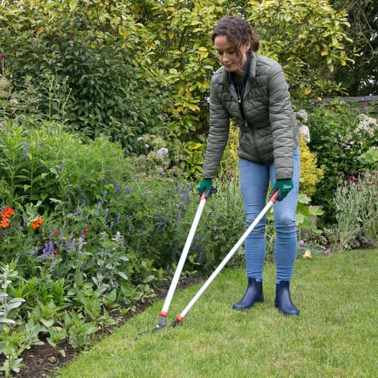 Wilkinson edging shears discount